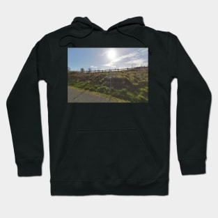 The rising sun Hoodie